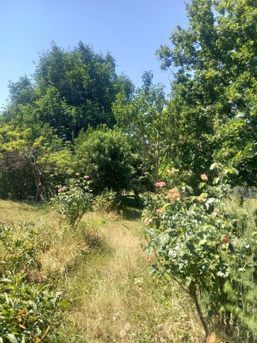 Maison a vendre Vieilley 25870 Doubs 170 m2  245000 euros