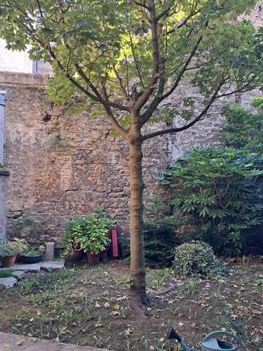 Immeuble a vendre Boulogne-sur-Mer 62200 Pas-de-Calais 131 m2  241040 euros