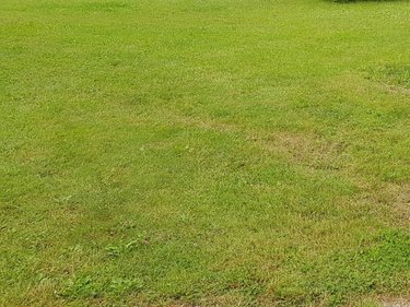 Terrain a batir a vendre Saint-Jean-sur-Moivre 51240 Marne 924 m2  34980 euros