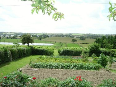 Maison a vendre Montjean-sur-Loire 49570 Maine-et-Loire 142 m2 6 pièces 356320 euros