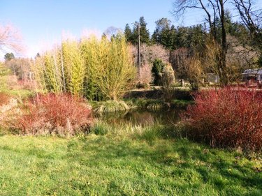 Maison a vendre Lignol 56160 Morbihan 148 m2 7 pièces 199800 euros