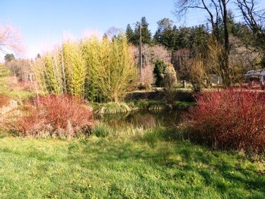 Maison a vendre Lignol 56160 Morbihan 148 m2 7 pièces 208170 euros