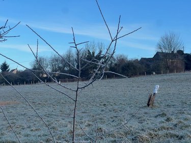 Terrains de loisirs bois etangs a vendre Vimoutiers 61120 Orne 29742 m2  36570 euros