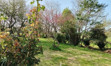 Maison a vendre Pouldreuzic 29710 Finistère 89 m2 4 pièces 221000 euros