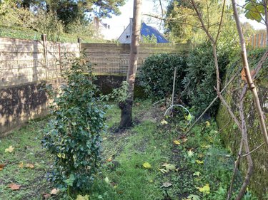 Viager maison Baud 56150 Morbihan 88 m2  70000 euros