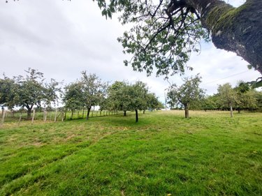 Maison a vendre Beaulieu-sur-Oudon 53320 Mayenne 70 m2 5 pièces 106000 euros