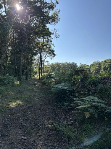 Terrains de loisirs bois etangs a vendre Plouay 56240 Morbihan 25540 m2  22000 euros