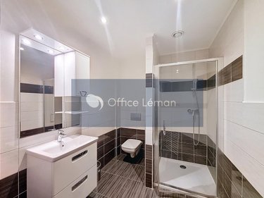 Immeuble a vendre Ségny 01170 Ain 310 m2  1200000 euros