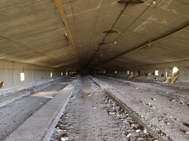Divers a vendre Plounéour-Ménez 29410 Finistère 1300 m2  28000 euros