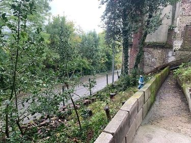 Terrain a batir a vendre Rouen 76000 Seine-Maritime 145 m2  49500 euros