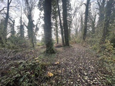 Terrain a batir a vendre Flines-lez-Raches 59148 Nord 1500 m2  115280 euros