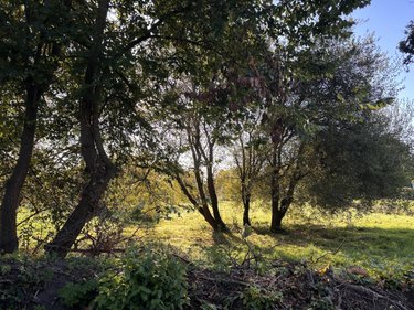 Terrain a batir a vendre Île-d'Arz 56840 Morbihan 1516 m2  373540 euros