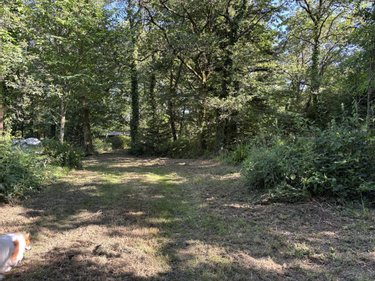 Terrains de loisirs bois etangs a vendre Plouay 56240 Morbihan 25540 m2  22000 euros