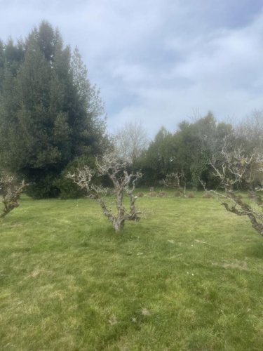 Location maison Reugny 37380 Indre-et-Loire 91 m2 4 pièces 1100 euros