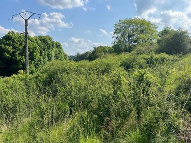 Terrains de loisirs bois etangs a vendre Valorbiquet 14290 Calvados 8050 m2  7500 euros