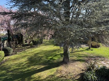 Maison a vendre Solesmes 59730 Nord 376 m2 21 pièces 256760 euros