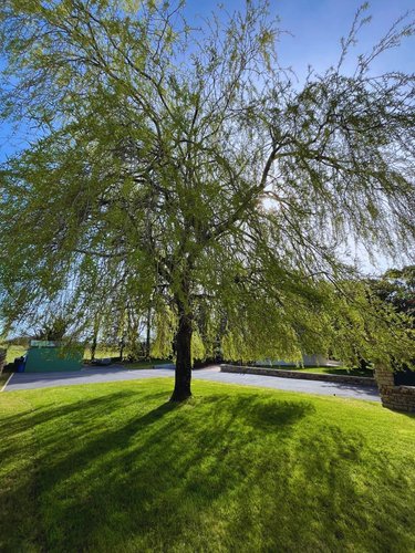 Maison a vendre La Forêt-Fouesnant 29940 Finistère 125 m2 5 pièces 644800 euros