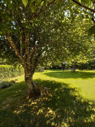 Maison a vendre Pluvigner 56330 Morbihan 101 m2 5 pièces 260440 euros