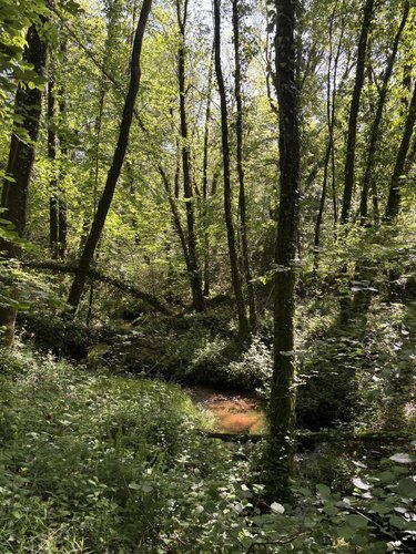 Terrains de loisirs bois etangs a vendre Noues de Sienne 14380 Calvados 185705 m2  399000 euros