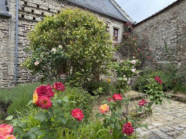 Maison a vendre Sarzeau 56370 Morbihan 175 m2 6 pièces 810800 euros