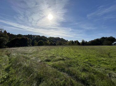 Terrains de loisirs bois etangs a vendre Corps-Nuds 35150 Ille-et-Vilaine 7700 m2  18000 euros