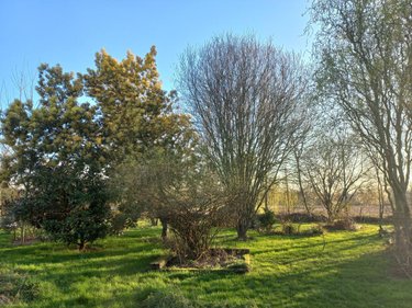 Maison a vendre Lamballe-Armor 22400 Côtes-d'Armor 182 m2  376200 euros