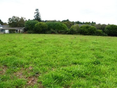 Terrain a batir a vendre Persquen 56160 Morbihan 2789 m2  29840 euros