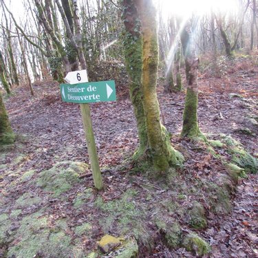 Terrains de loisirs bois etangs a vendre Saint-Vigor-des-Monts 50420 Manche 10923 m2  7800 euros
