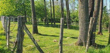 Terrains de loisirs bois etangs a vendre Cussey-sur-l'Ognon 25870 Doubs 3352 m2  17500 euros