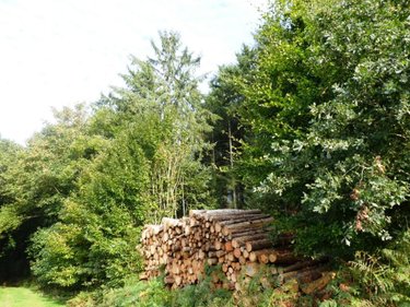 Terrains de loisirs bois etangs a vendre Melrand 56310 Morbihan 13280 m2  21320 euros