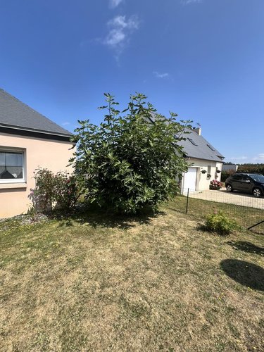 Maison a vendre Yffiniac 22120 Côtes-d'Armor 103 m2 5 pièces 275600 euros