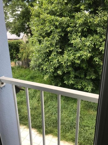 Location maison Hennebont 56700 Morbihan 70 m2 3 pièces 900 euros