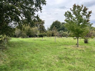 Terrains de loisirs bois etangs a vendre Lunay 41360 Loir-et-Cher 2855 m2  11800 euros