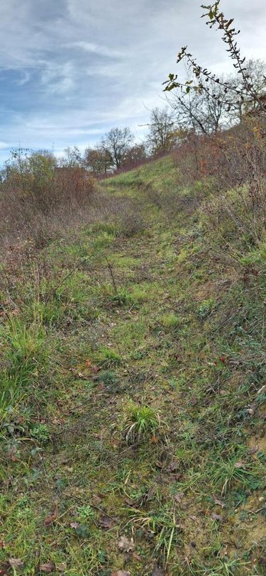 Terrains de loisirs bois etangs a vendre Peyrusse-Grande 32320 Gers 57740 m2  39500 euros