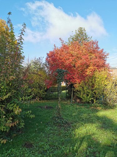 Maison a vendre Marquion 62860 Pas-de-Calais 86 m2 6 pièces 85500 euros