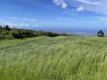 Terrain a batir a vendre Le Tampon 97430 Réunion 1640 m2  91450 euros