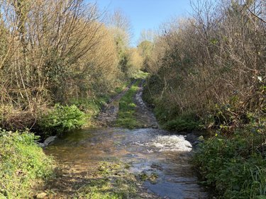 Terrains de loisirs bois etangs a vendre Pleyber-Christ 29410 Finistère 37739 m2  18000 euros