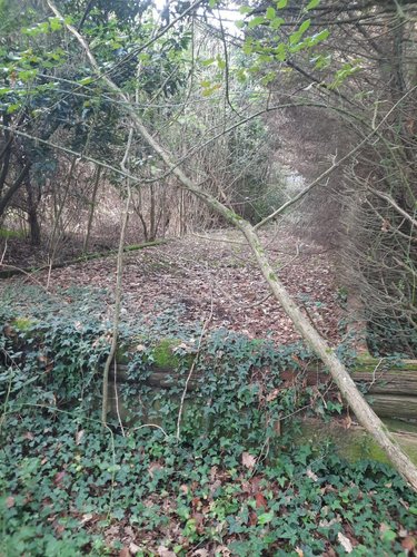 Terrains de loisirs bois etangs a vendre Aizenay 85190 Vendée 12772 m2  54000 euros