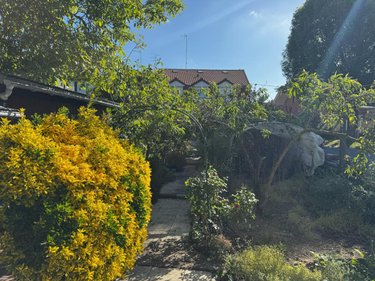 Maison a vendre Cambrai 59400 Nord 214 m2 6 pièces 335000 euros