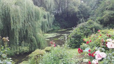 Maison a vendre Hémonstoir 22600 Côtes-d'Armor 800 m2  410800 euros