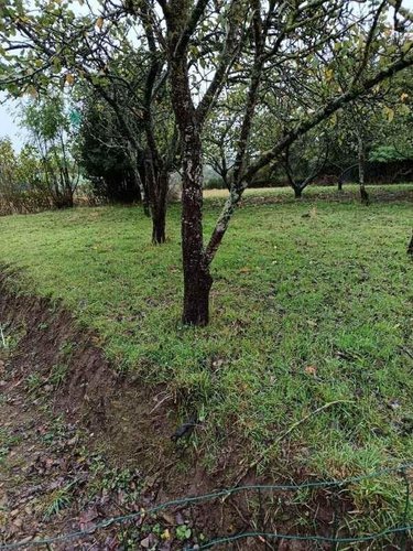 Terrain a batir a vendre Saint-Amand-Villages 50160 Manche 431 m2  15000 euros