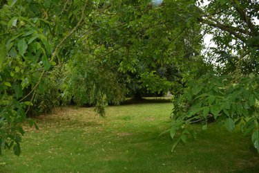 Terrains de loisirs bois etangs a vendre Ruillé-Froid-Fonds 53170 Mayenne 893 m2  17574 euros