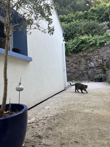 Maison a vendre Inzinzac-Lochrist 56650 Morbihan 129 m2 5 pièces 251880 euros