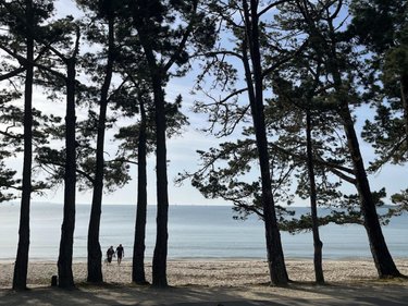 Appartement a vendre Fouesnant 29170 Finistère 44 m2 3 pièces 273000 euros