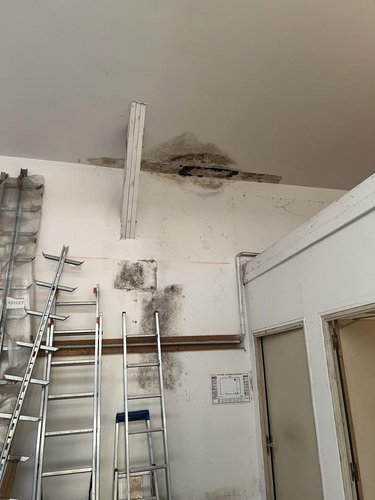 Fonds et murs commerciaux a vendre Guingamp 22200 Côtes-d'Armor 1560 m2  775200 euros