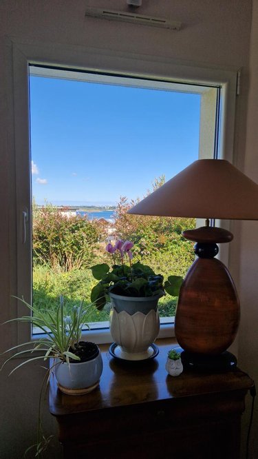Maison a vendre Carantec 29660 Finistère 123 m2  546520 euros