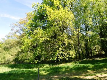 Maison a vendre Ploërdut 56160 Morbihan 253 m2 12 pièces 492400 euros