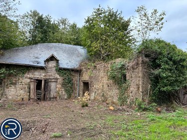 Terrains de loisirs bois etangs a vendre Montaudin 53220 Mayenne 2522 m2  13500 euros