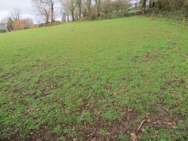 Terrain a batir a vendre Roullours 14500 Calvados 1220 m2  39000 euros