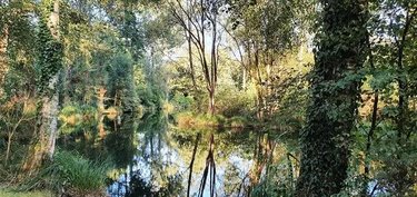 Terrains de loisirs bois etangs a vendre Le Croisty 56540 Morbihan 15350 m2  74400 euros